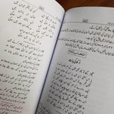 اُردو کے 100 نامور شاعر | Urdu ke 100 Namwar Shair Books Dervish Designs 