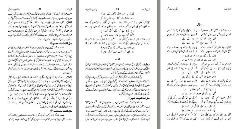 Sharah Kulyat e Iqbal Urdu | شرح کلیات اقبال اردو Books DervishDesigns 