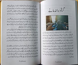 مِیم مِیم مضامین | محمد حنیف شیوانی