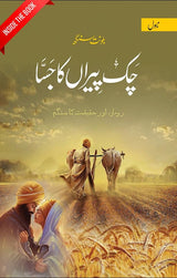 چک پیراں کا جسا | ناول | بلونت سنگھ - Dervish Designs Online