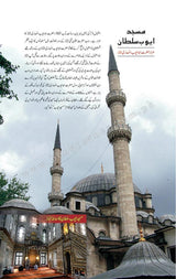 تاریخ سلطنت عثمانیہ | ڈیلکس ایڈیشن Books Dervish Designs 