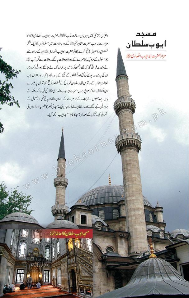 تاریخ سلطنت عثمانیہ | ڈیلکس ایڈیشن Books Dervish Designs 
