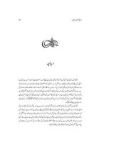 تاریخ سلطنت عثمانیہ | ڈیلکس ایڈیشن Books Dervish Designs 