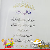 انبیا عليه السلام کی روشن کہانیاں | ڈیلکس آیڈیشن Books Dervish Designs 