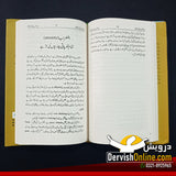 اپنا نصیب لینا نہ بھولنا | ایس اے چشتی