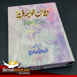 دیوان خواجہ فرید | بمطابق قلمی نسخہ ھائے قدیم Books DervishDesigns 