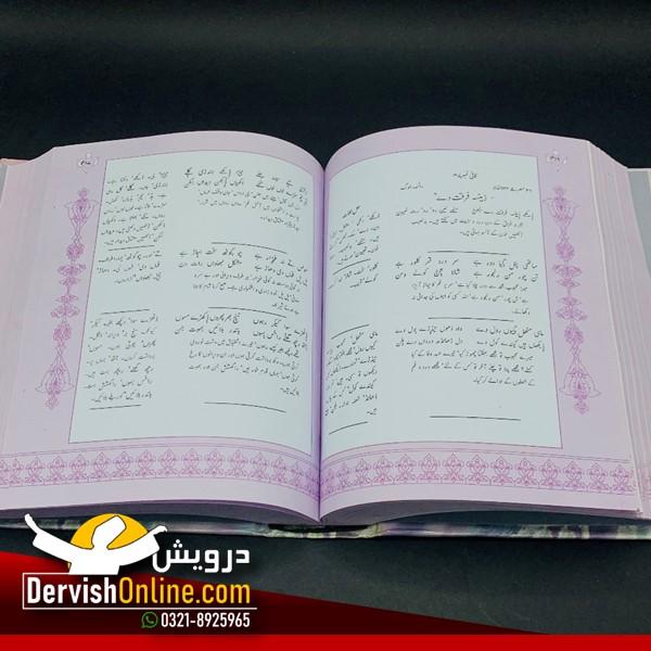 دیوان خواجہ فرید | بمطابق قلمی نسخہ ھائے قدیم Books DervishDesigns 