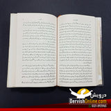 غالب | ناول | قاضی عبدالستار