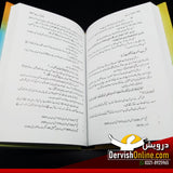 جلدی کسی لیے | ساجدہ ناہید Books Dervish Designs 
