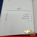 کرنیں | بچوں کے لیے ایرانی کہانیاں