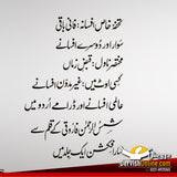 مجموعہ شمس الرحمٰن فاروقی