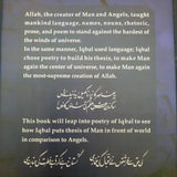 Mankind Encountering Angels in the Poetry of Iqbal - Dervish Designs Online