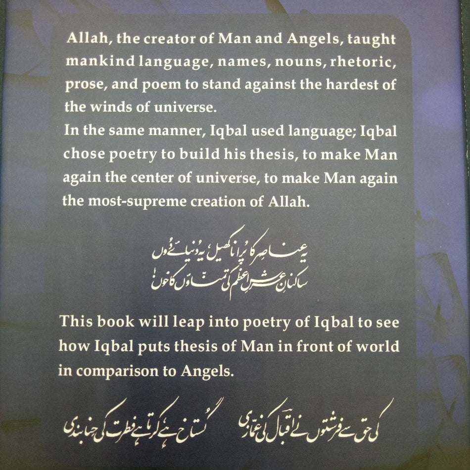 Mankind Encountering Angels in the Poetry of Iqbal - Dervish Designs Online