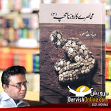 محاصرے کا روزنامچہ - ۲ | وجاہت مسعود