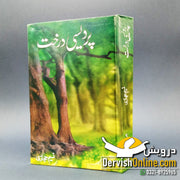 Pardesi Darakht - پردیسی درخت | نسیم حجازی - Dervish Designs Online