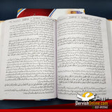 قصص القران | مولانا محمد حفظ الرحمٰن سیوہاروی | ۲ جلدیں