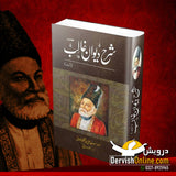 شرح دیوانِ غالب (اُردو) | شارح: نظم طباطبائی