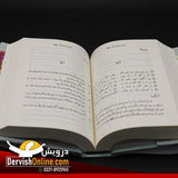 شرح اَسرار و رموز | علامہ محمد اقبال | اصل فارسی متن مع سلیس اُردو ترجمہ Books Dervish Designs 
