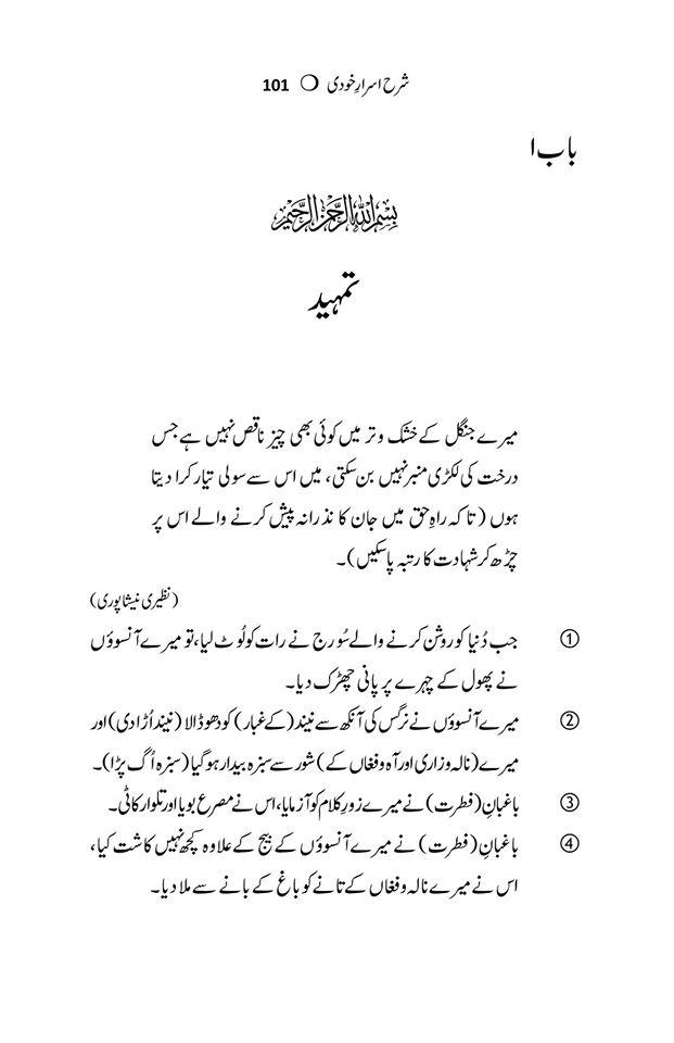 شرح اَسرار و رموز | علامہ محمد اقبال | اصل فارسی متن مع سلیس اُردو ترجمہ Books Dervish Designs 