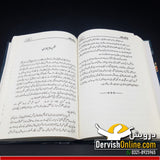 یادگار غالب | Yadgar e Ghalib by Altaf Hussain Hali - Dervish Designs Online