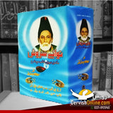نوائے سروش | مکمل دیوان غالب مع شرح | مولانا غلام رسُول مہرؔ Books DervishDesigns 