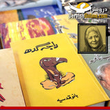 راجہ گدھ | بانو قدسیہ - Dervish Designs Online